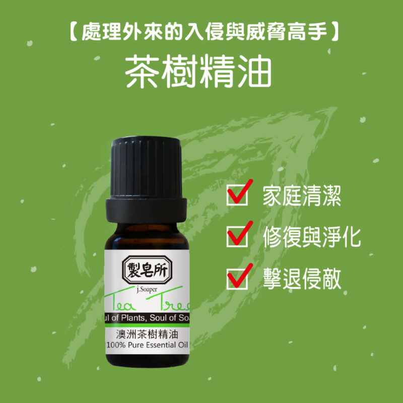 【家庭防護組】茶樹+淨呼吸+薰衣草+蚊快閃 送噴瓶X2 - Image 3