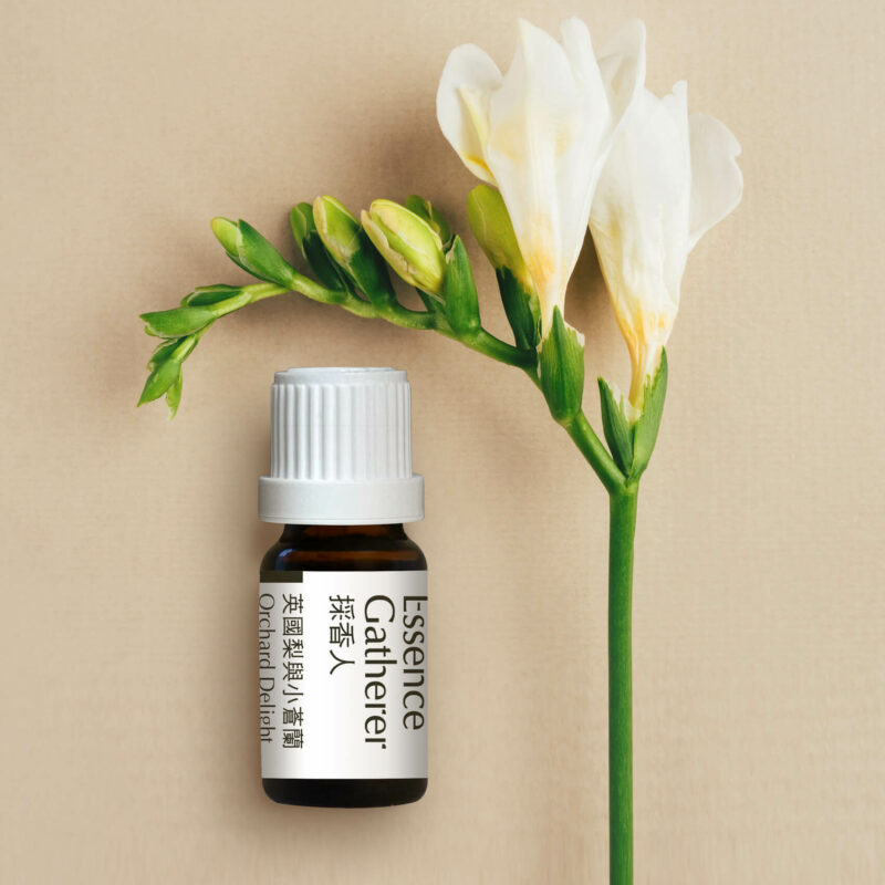 英國梨與小蒼蘭香精10ml - Image 3